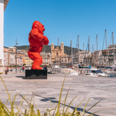 Vieux port de Bastia