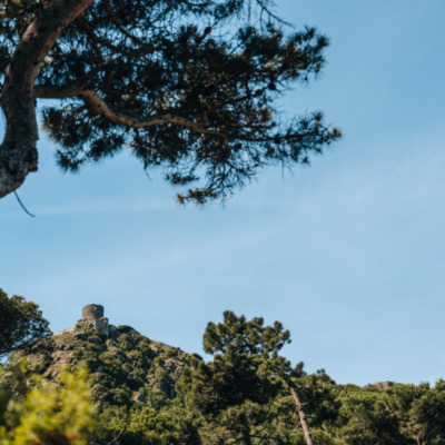 Chapelle Santa-Lucia à Luri