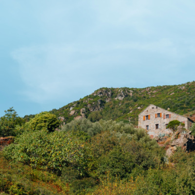 Mandriale