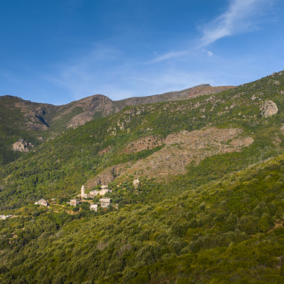 Mandriale
