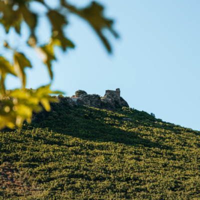 Tour genoise de Castellare à Pietracorbara