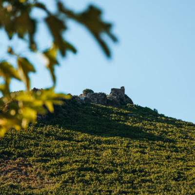 Tour genoise de Castellare à Pietracorbara