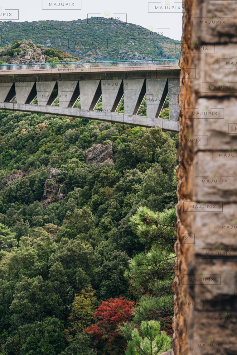 Pont du Vecchio à Vivario