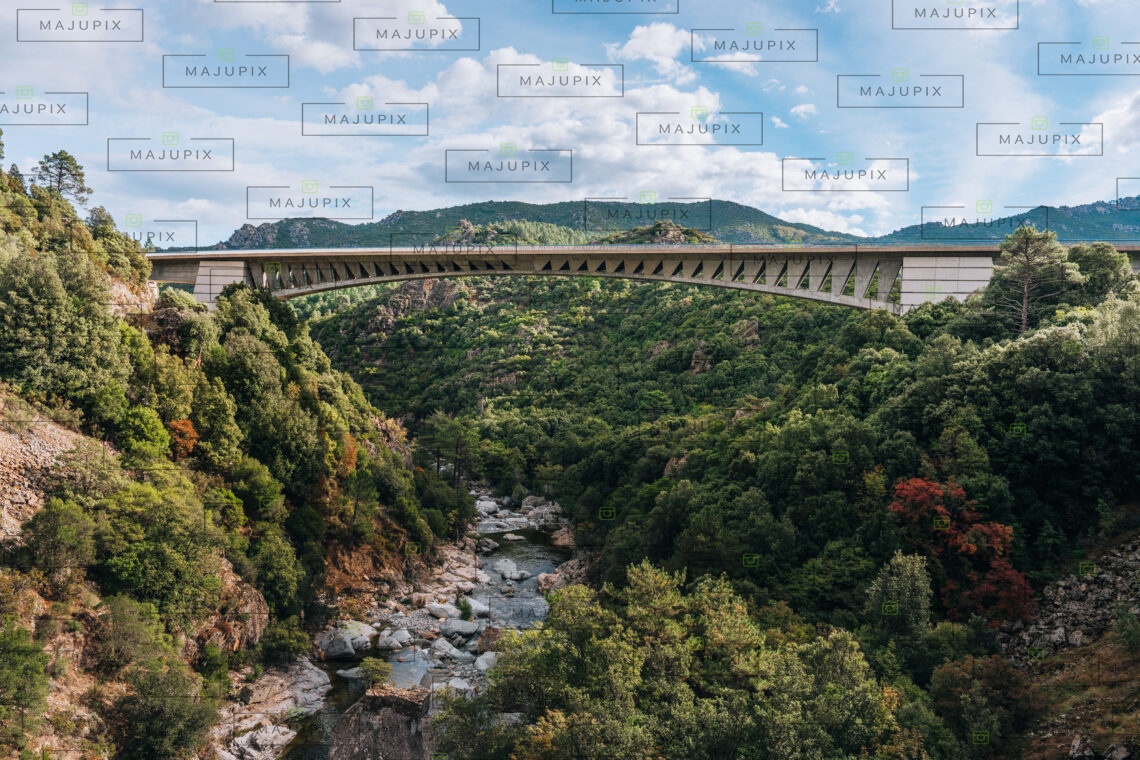 Pont du Vecchio à Vivario