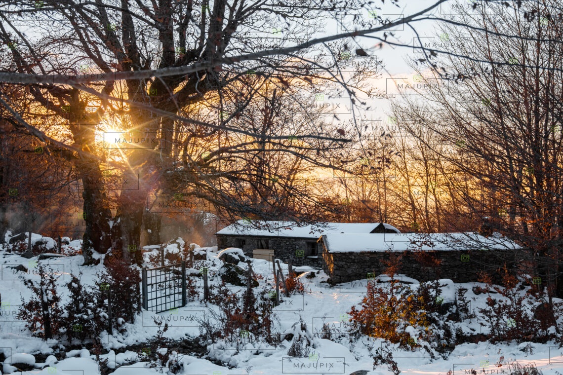 Bergeries au coucher de soleil