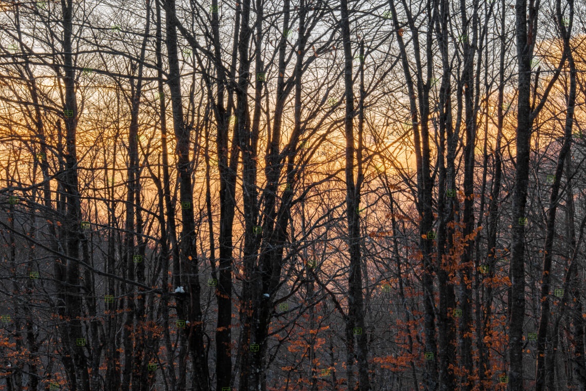 Coucher de soleil depuis le col de Vizzavona
