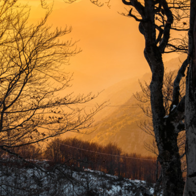 Route de Vizzavona au coucher de soleil