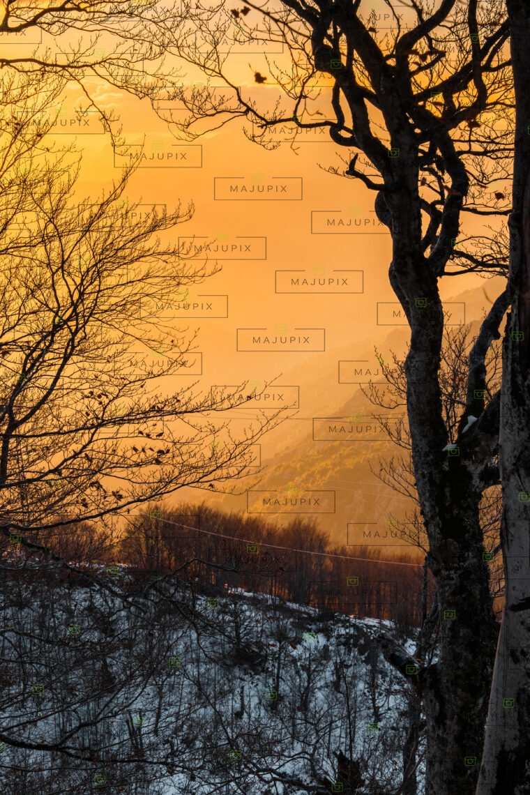Route de Vizzavona au coucher de soleil