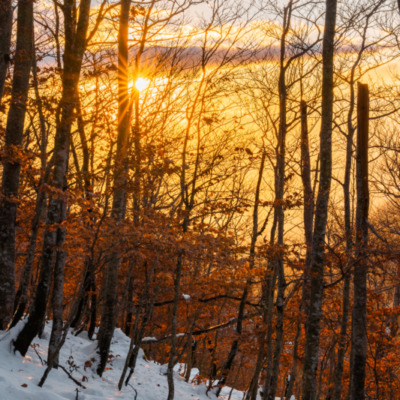 Coucher de soleil au col de Vizzavona