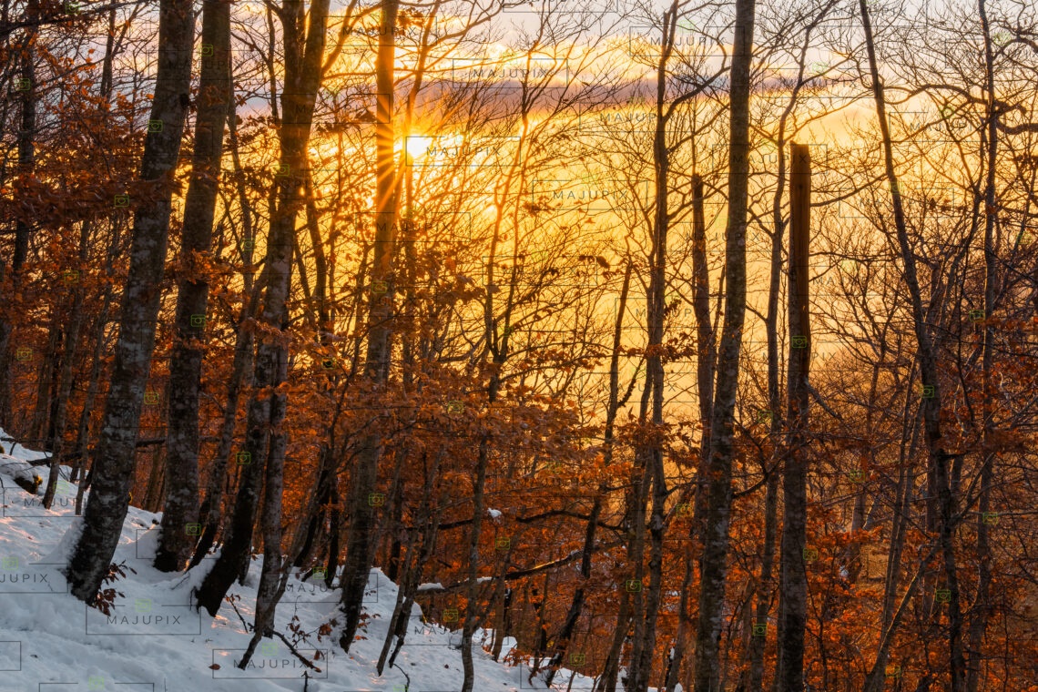 Coucher de soleil au col de Vizzavona
