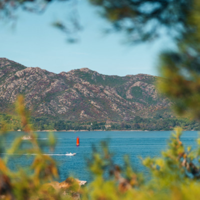 Saint-Florent