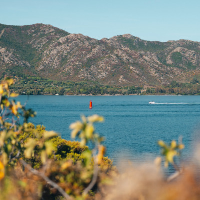 Saint Florent
