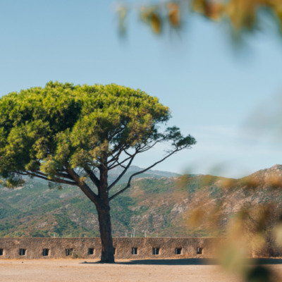 Citadelle de Saint-Florent