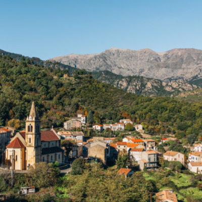 Vivario