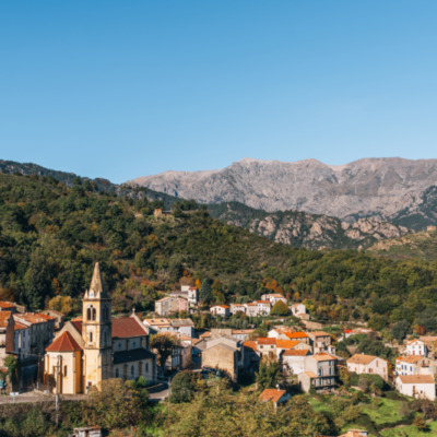 Vivario