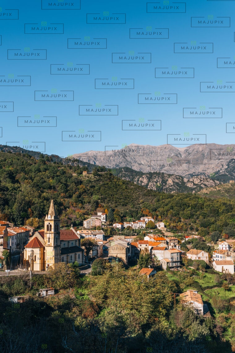 Vivario