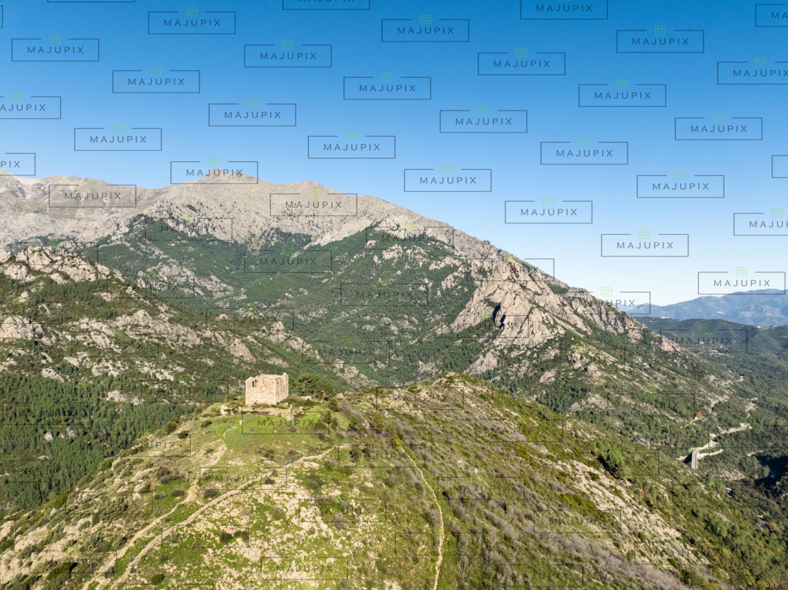 Fortin de Pasciola à Vivario