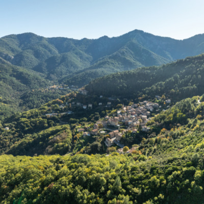 Vivario
