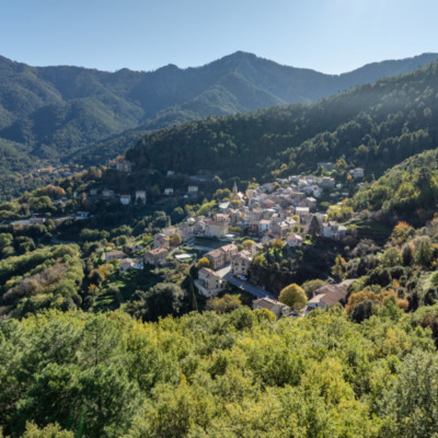 Vivario