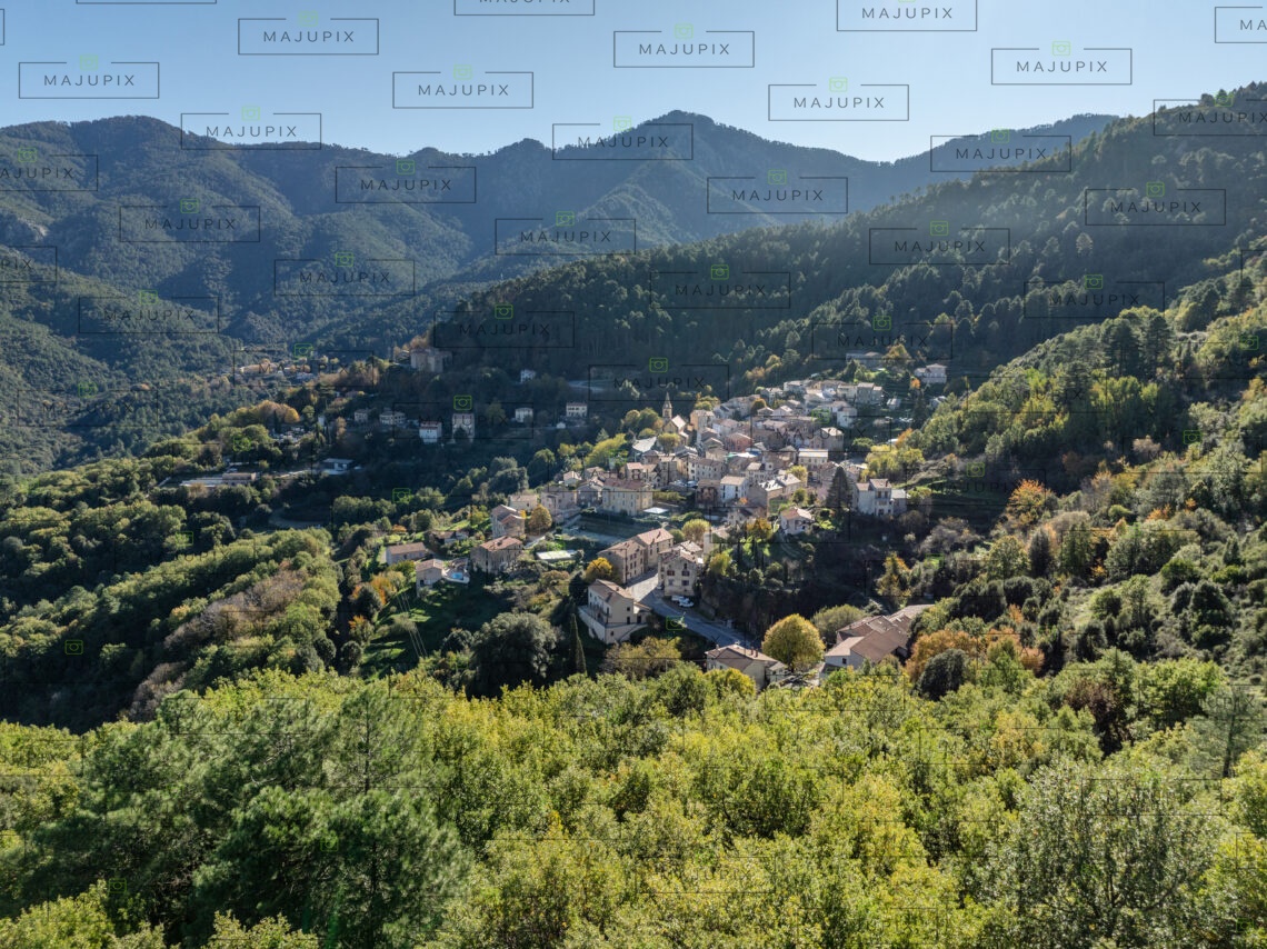 Vivario