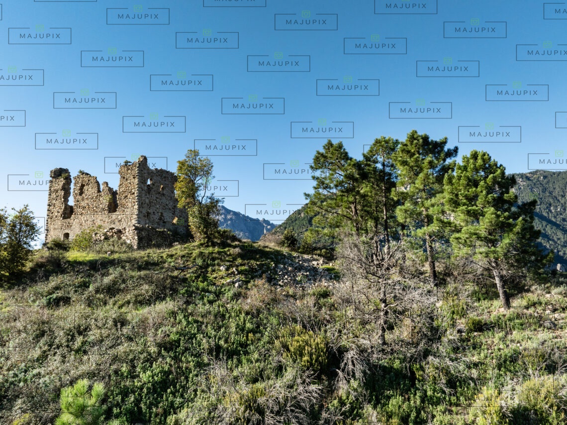Fortin de Pasciola à Vivario