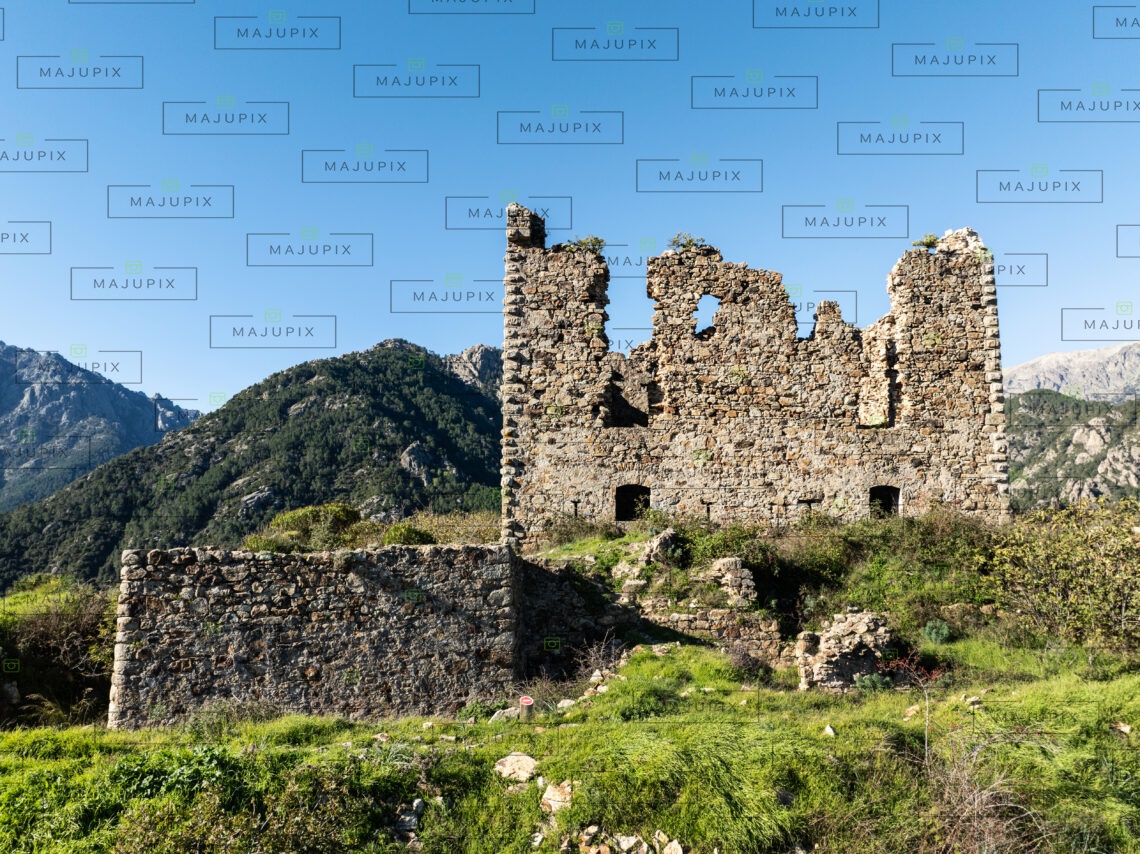 Fortin de Pasciola à Vivario