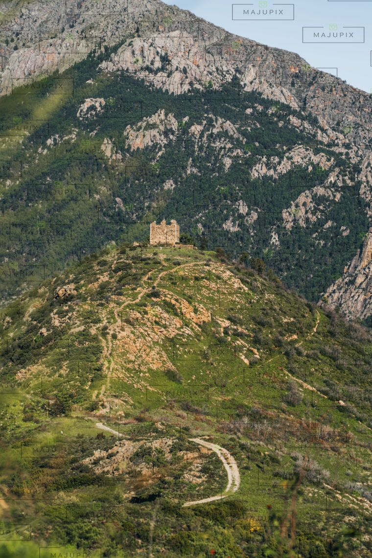 Fortin de Pasciola à Vivario