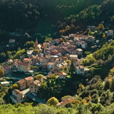 Vivario