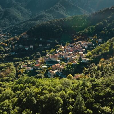 Vivario