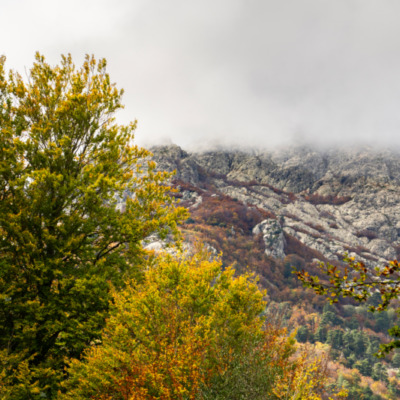 Vizzavona en début d'automne