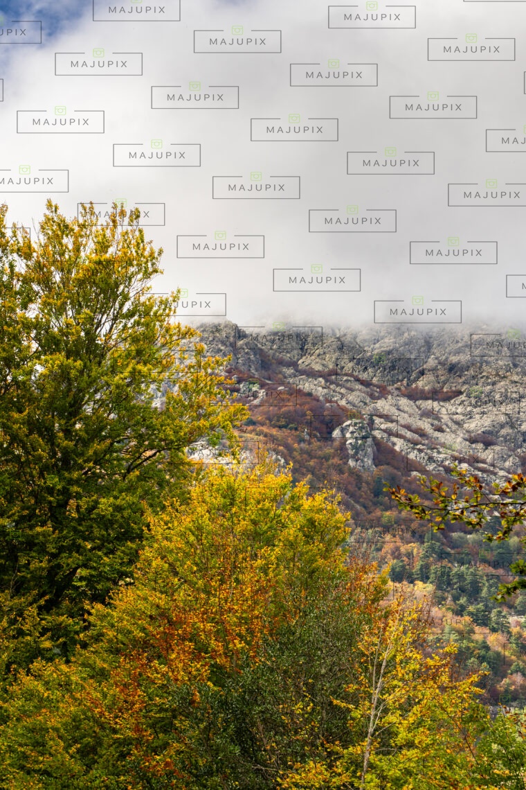 Vizzavona en début d'automne
