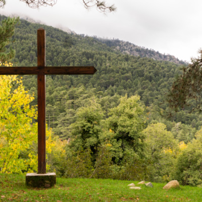 Forêt de Vizzavona