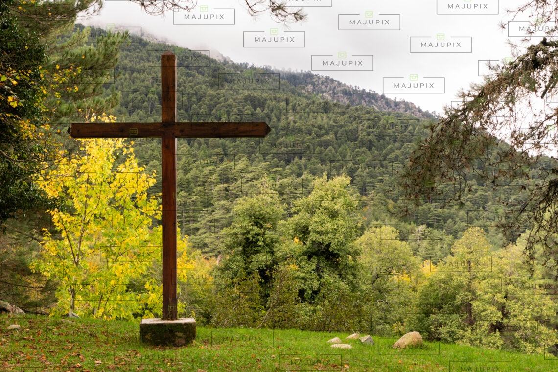 Forêt de Vizzavona