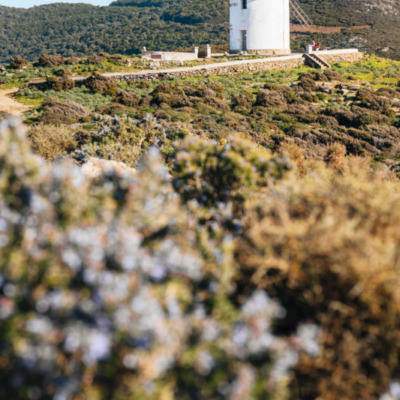 Le Moulin Mattei