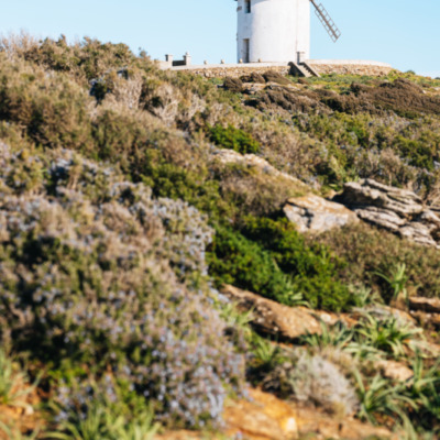 Le Moulin Mattei