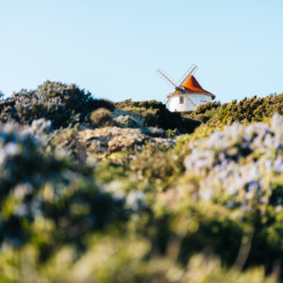 Le Moulin Mattei