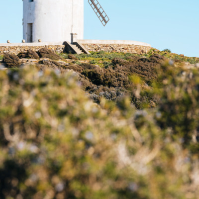 Le Moulin Mattei
