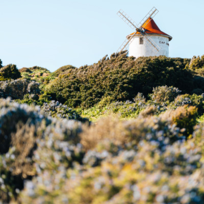 Le Moulin Mattei