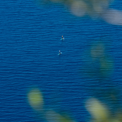 Vue depuis Nonza
