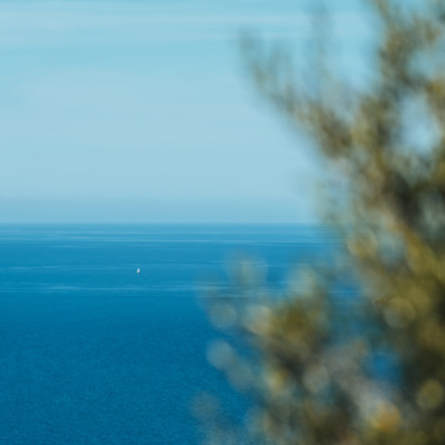 Vue depuis Nonza