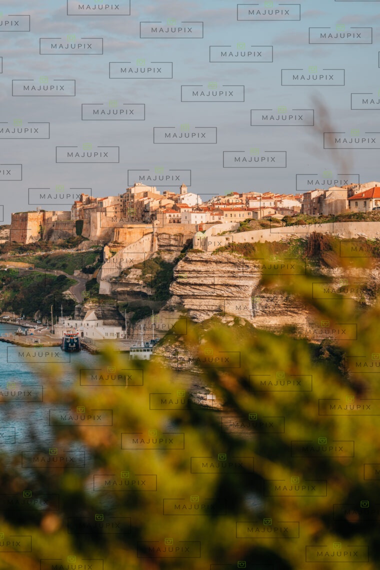 Bonifacio