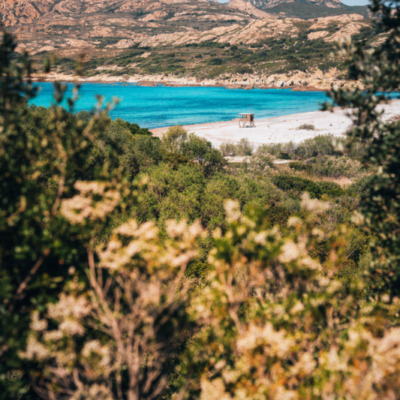 Plage de l'Ostriconi