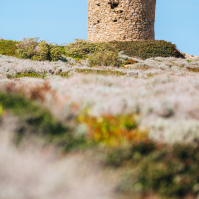 Tour génoise de la Pointe de Spano
