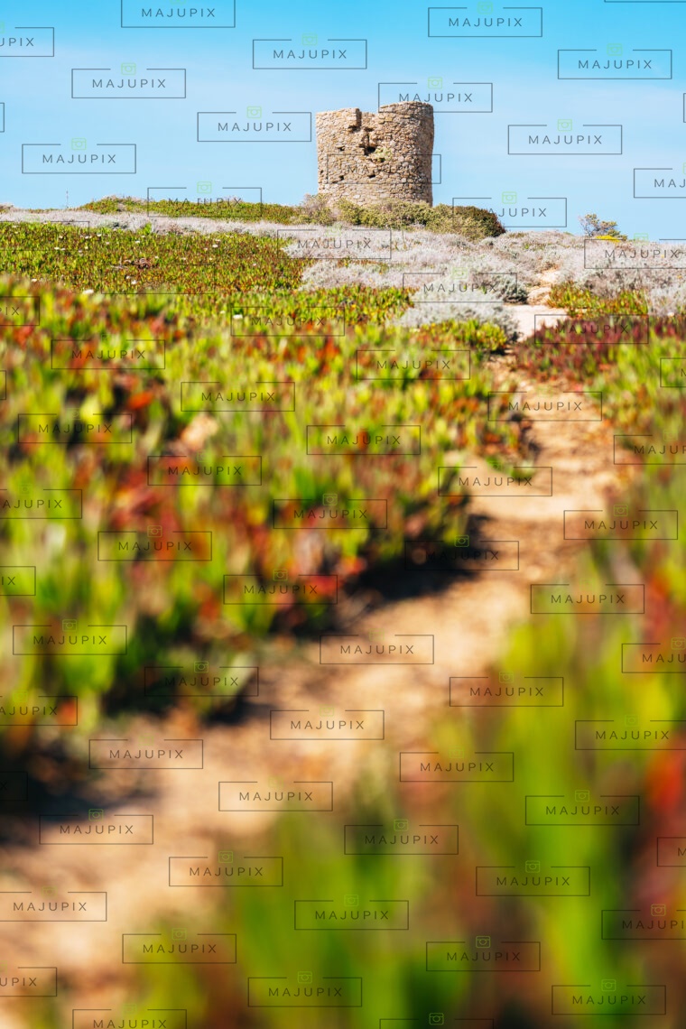 Tour génoise de la Pointe de Spano