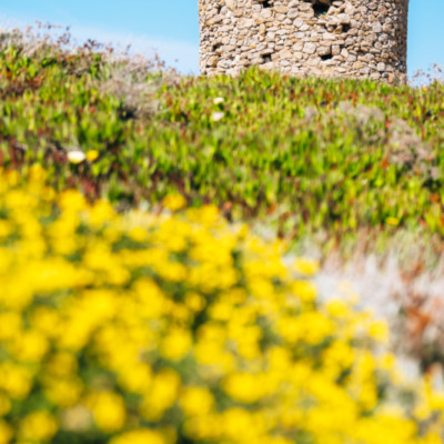 Tour génoise de la Pointe de Spano