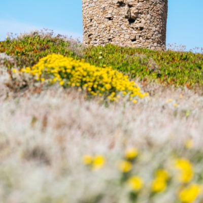 Tour génoise de la Pointe de Spano