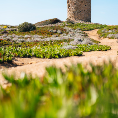 Tour génoise de la Pointe de Spano