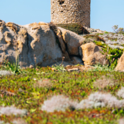 Tour génoise de la Pointe de Spano