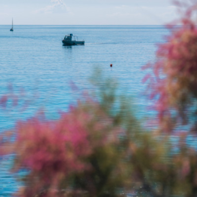 Bastia