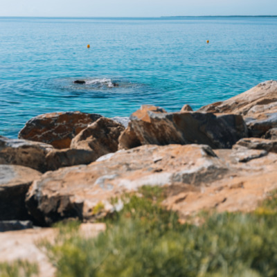 Plage de Ficaghjola à Bastia